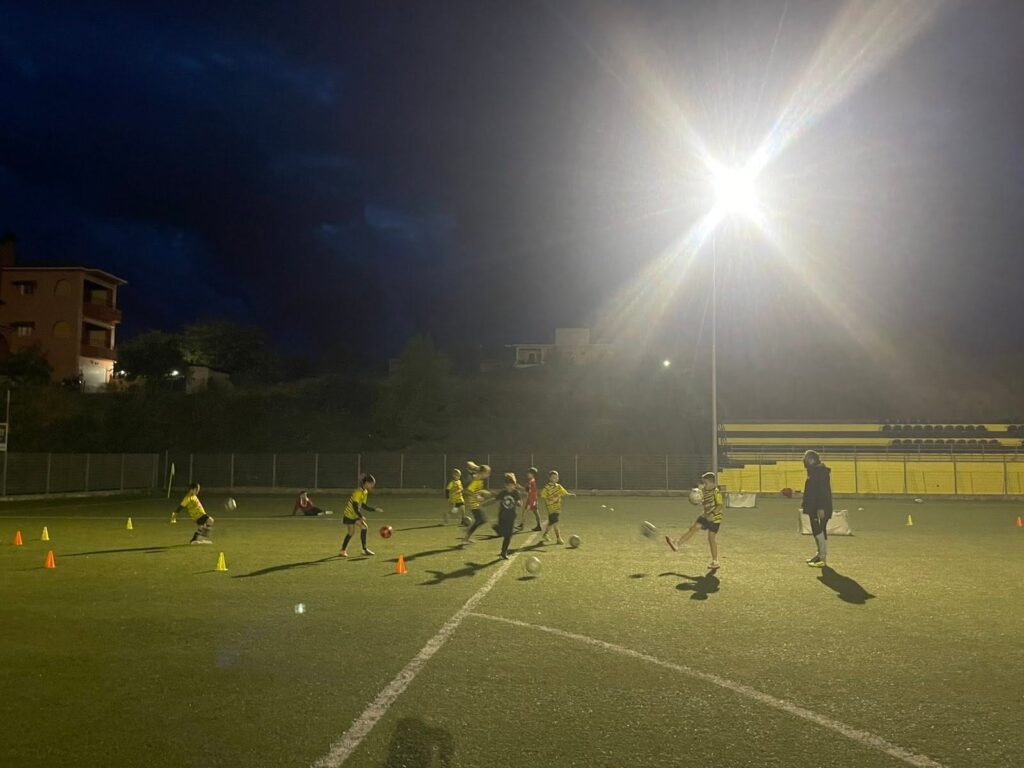 ΑΕΝΣ Academy
